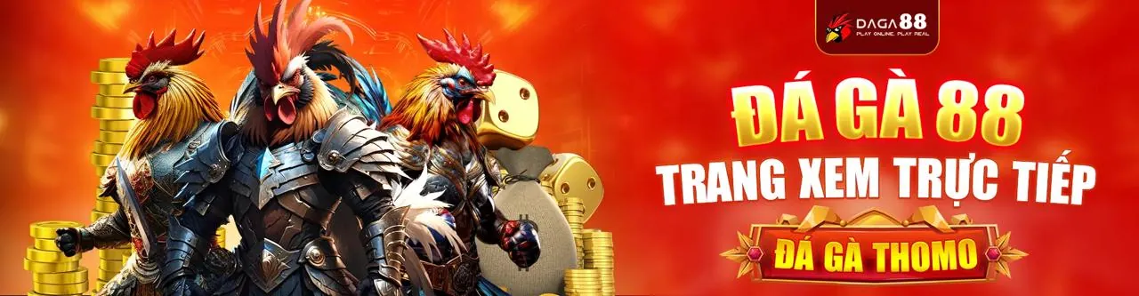 Đá gà trực tuyến 14winvn với các trận đấu kịch tính