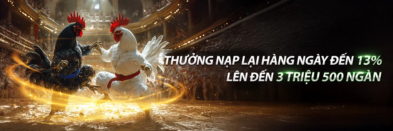 Tổng quan nền tảng 14winvn, màu xanh vàng chủ đạo